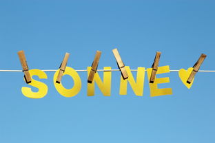 九游APP官网-体育新闻中心公告全国夏季赛事气象应急预案，赛事应急预案模板